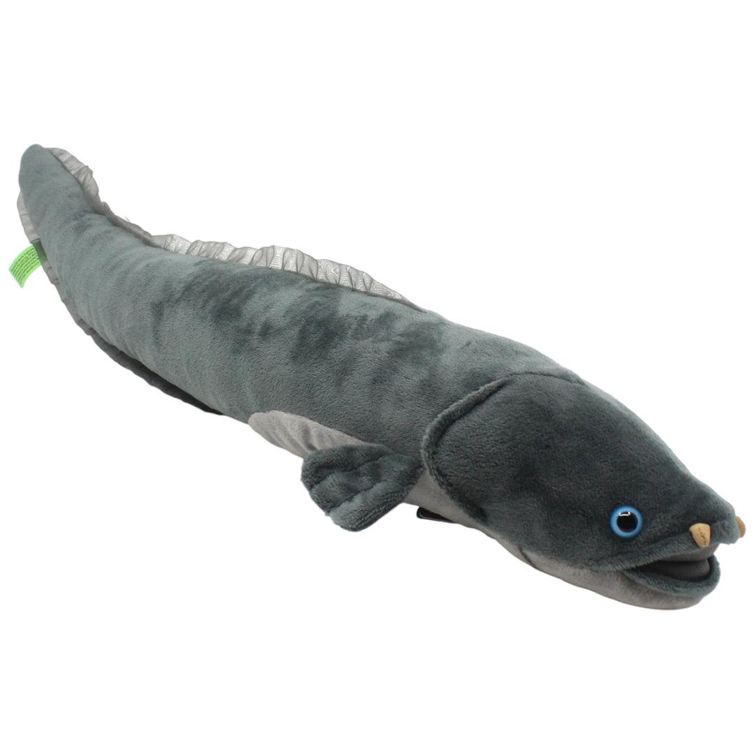 Long Finned Eel Soft Toy
