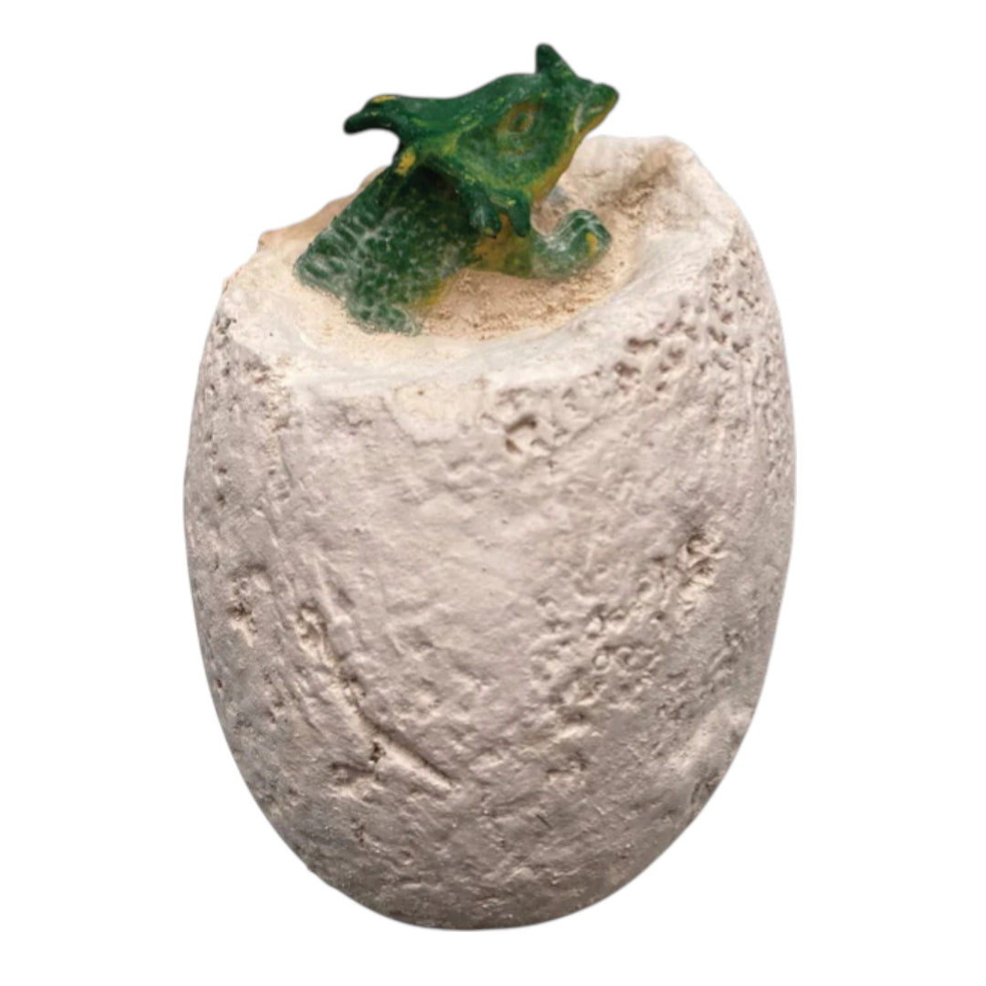 Dino Dig! Excavation Kit